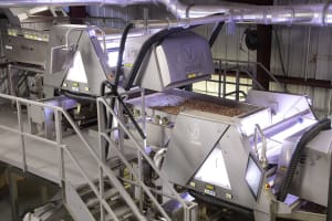 The key to nut and fruit quality