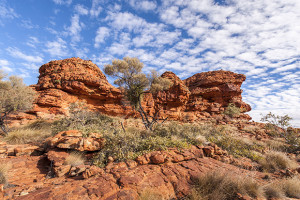 Expert Advice: Landscape Insights (Part Two)
