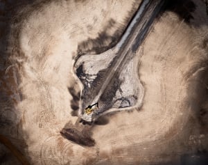2016 Australia's Top Emerging Photographers: Runner Up, Landscape