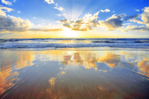 Photo Tip of the Week: Understanding Light (Part II)