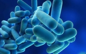 Debunking the Legionella cooling tower myth