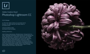 Adobe owns up: Lightroom is too slow.