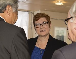 Defence INSIGHT ERP gets political 