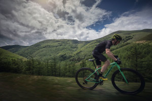 2017 Orbea Alma
