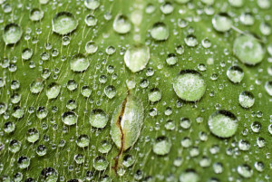 FAQ: Macro on a Budget