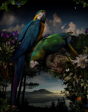 Winner of the William and Winifred Bowness Photography Prize