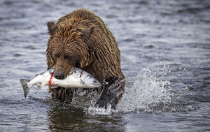 Great Photo Locations: Lake Clark National Park, Alaska