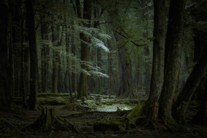 Photo Tips: Best Landscape Locations in New Zealand