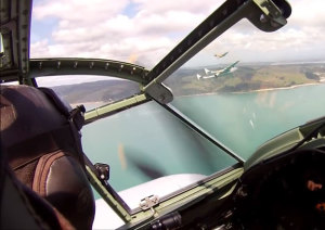 FRIDAY FLYING VIDEO: Inside a Mosquito