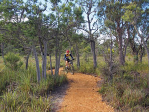 Mountain Biking the Munda Biddi Trail, WA