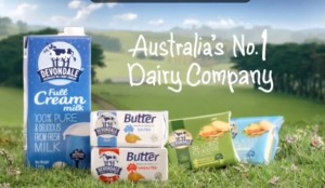Murray Goulburn's export sales grow 30 per cent