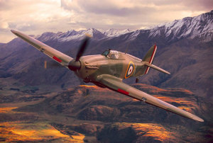 Wanaka Hurricane Sold to European Customer