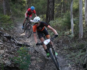 Otway Odyssey MTB Marathon