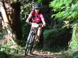 Otway Odyssey and Bike Buller entries open