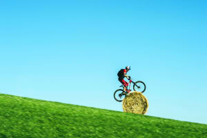 MacAskill's Wee Day Out