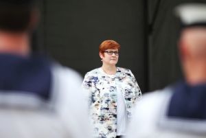 Defence Minister Payne outlines changes for shipbuilding industry