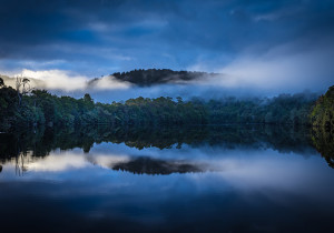 Photo Tip of the Week: How to Take Better Rainforest Pictures