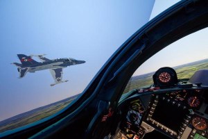 Hawk training gets a LIFT with new sims