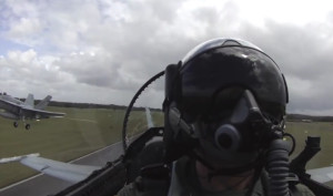 FRIDAY FLYING VIDEO: Hornets at Play