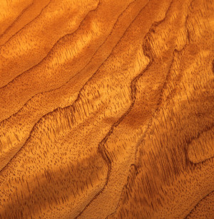 Against the Grain