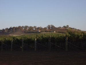 New rail hubs for the Riverina 