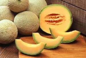 Rockmelon farm named as industry counts cost