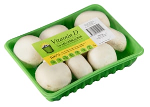 Vitamin D mushroom launched by South Australian farm