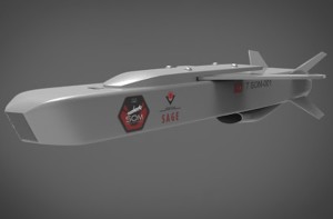 JSF weapons on show