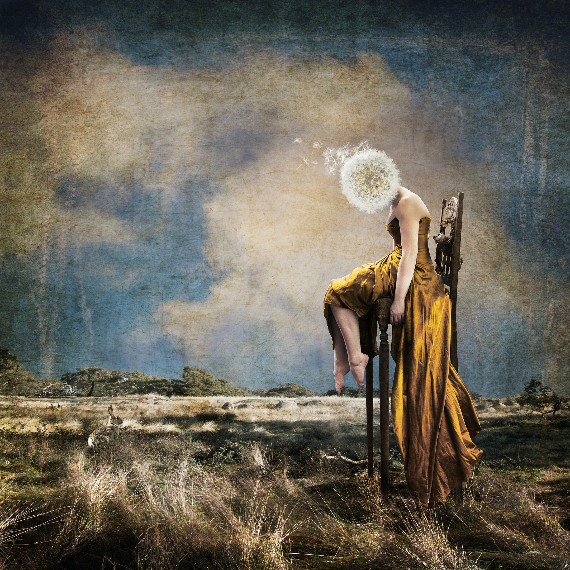 Australia's Top Emerging Photographers - winners revealed