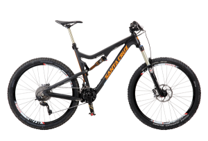 Santa Cruz Bronson