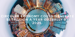 The Circular Economy. In trouble or in transit?