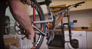 29er Testing with the Syndicate