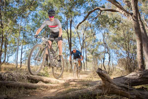 Shimano MTB GP