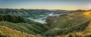 Sony Alpha Awards call for entries