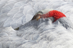 Photo Tip Of The Week: Analyse Every Image