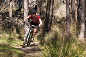 Mountain Biking in Hollybank and Derby Tasmania