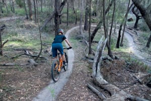 Mountain Biking in Tathra