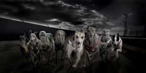 Behind the Camera: How to Create an Action Composite