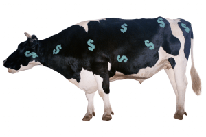 Dairy processors find traction