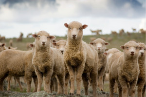 Milspec: From Defence to agriculture