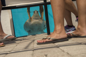 Photo tip of the week: 10 tips for shooting a photo series