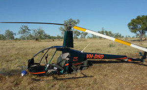 Aerial Mustering Industry gets Safety Committee