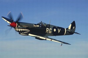 Spitfire Excavation Date Set