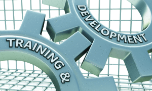 A "wake-up call" for better vocational training