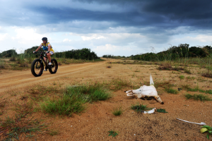 Cape York Fatbike Adventure