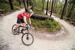 Mountain Biking in Wellington, Tasmania