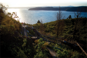 Mountain Biking Lake Taupo, New Zealand