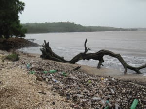 SA government takes on plastic waste problem, boosts employment