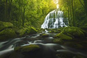 Photo tip of the week: Landscape photography 101