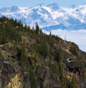 Mountain Biking in Whistler, Canada